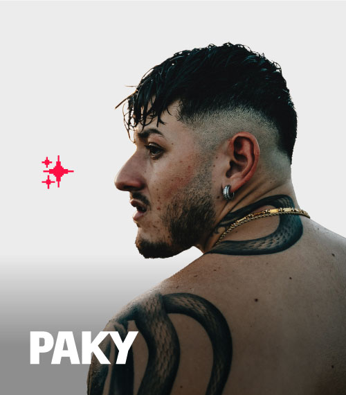 RVF23-paky